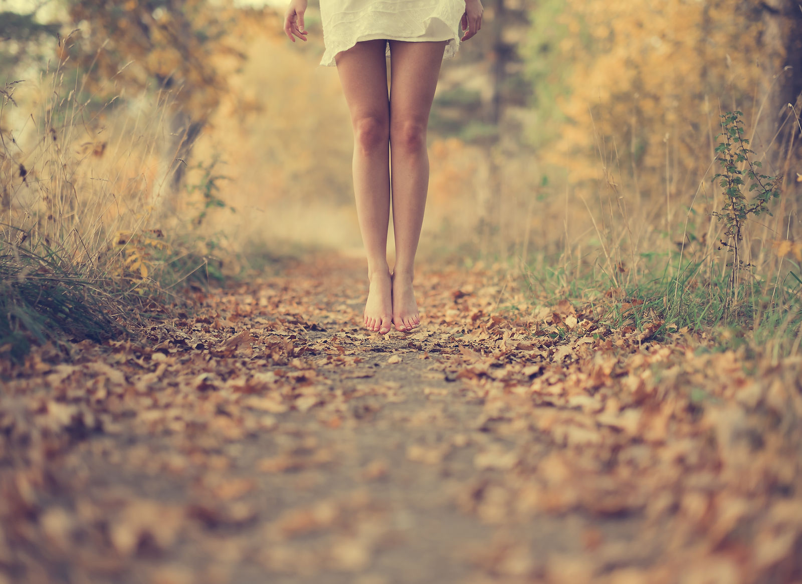 Jambes automne
